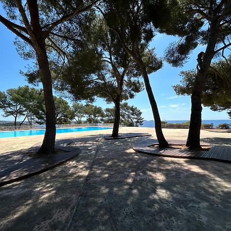 Horizon Bleu Bandol : Appartement Pieds Dans L'Eau Ngoại thất bức ảnh