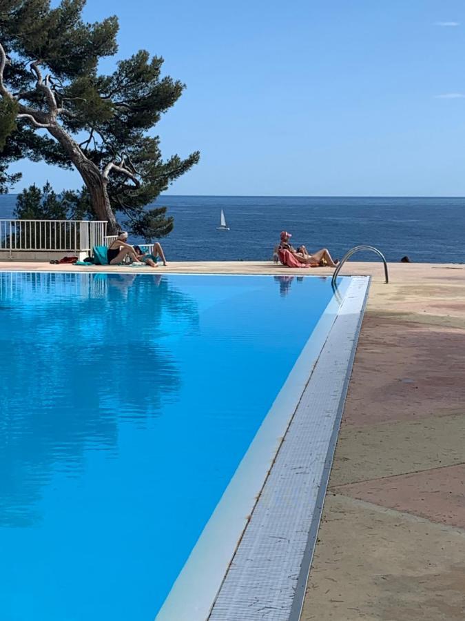 Horizon Bleu Bandol : Appartement Pieds Dans L'Eau Ngoại thất bức ảnh