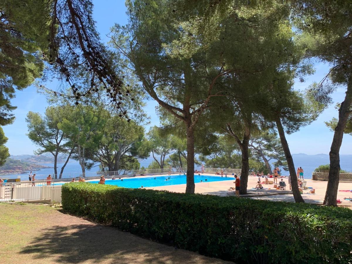 Horizon Bleu Bandol : Appartement Pieds Dans L'Eau Ngoại thất bức ảnh